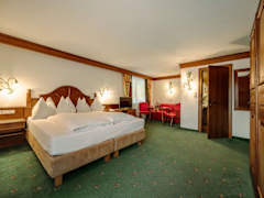 Zimmerbild 7