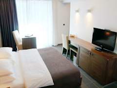 Zimmerbild 5