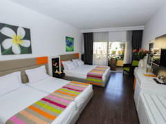 Zimmerbild 4