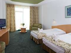 Zimmerbild 5