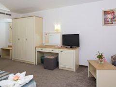 Zimmerbild 6