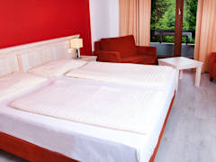 Zimmerbild 1