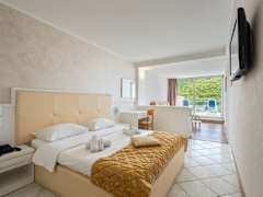 Zimmerbild 7