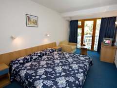 Zimmerbild 1