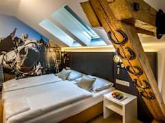 Zimmerbild 4