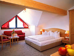Zimmerbild 1