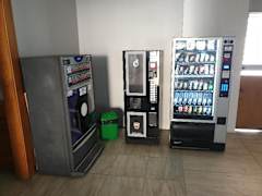 Zimmerbild 9