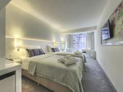 Zimmerbild 7