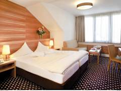 Zimmerbild 8