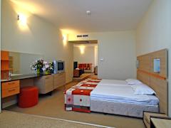 Zimmerbild 4