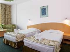Zimmerbild 10