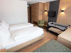 Zimmerbild 2