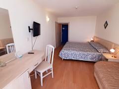 Zimmerbild 9