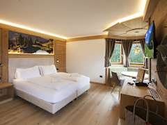 Zimmerbild 6