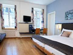 Zimmerbild 12