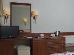Zimmerbild 8