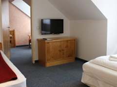 Zimmerbild 8