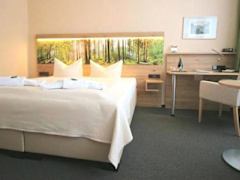 Zimmerbild 23