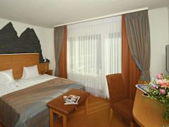 Zimmerbild 12