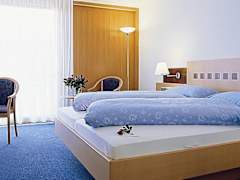 Zimmerbild 11