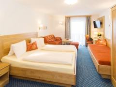 Zimmerbild 8