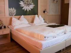Zimmerbild 5
