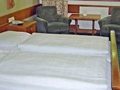 Zimmerbild 10