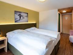 Zimmerbild 12
