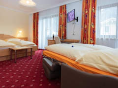 Zimmerbild 5
