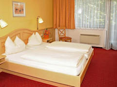 Zimmerbild 20