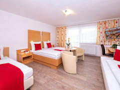Zimmerbild 6