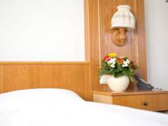 Zimmerbild 12