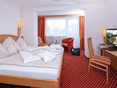 Zimmerbild 15