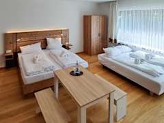 Zimmerbild 44