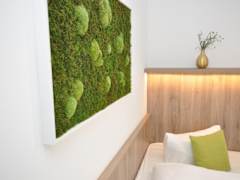 Zimmerbild 21