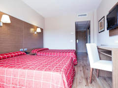 Zimmerbild 1