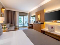 Zimmerbild 6