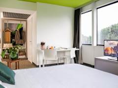 Zimmerbild 28