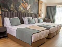 Zimmerbild 5