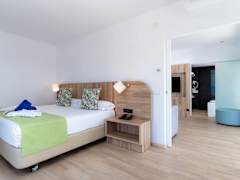 Zimmerbild 18
