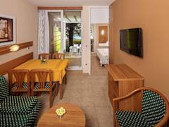 Zimmerbild 6