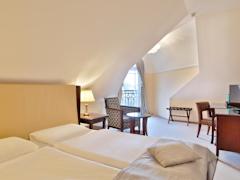 Zimmerbild 9