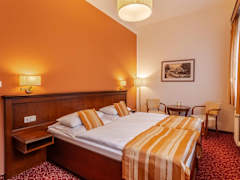 Zimmerbild 6