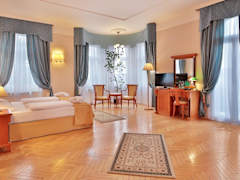 Zimmerbild 9