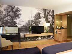 Zimmerbild 9