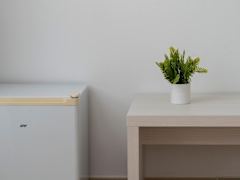Zimmerbild 5