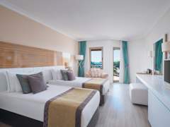Zimmerbild 5