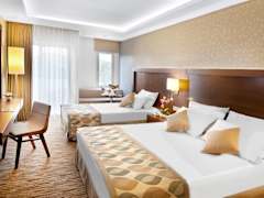 Zimmerbild 13