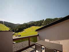 Zimmerbild 96
