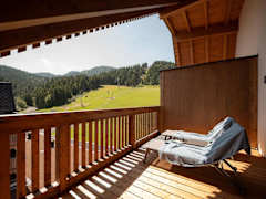 Zimmerbild 3